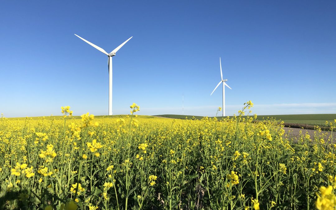 LETELmetrics Works with Wind Energy in Idaho
